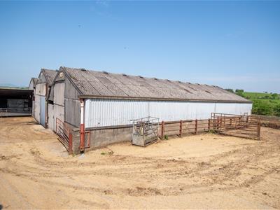 Picture 12